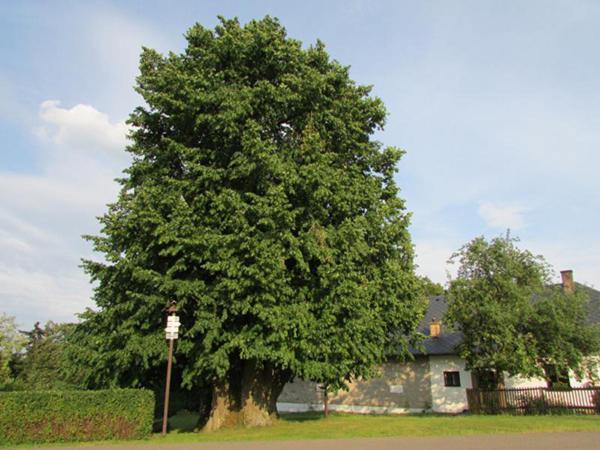 Penzion Pastviny Bagian luar foto